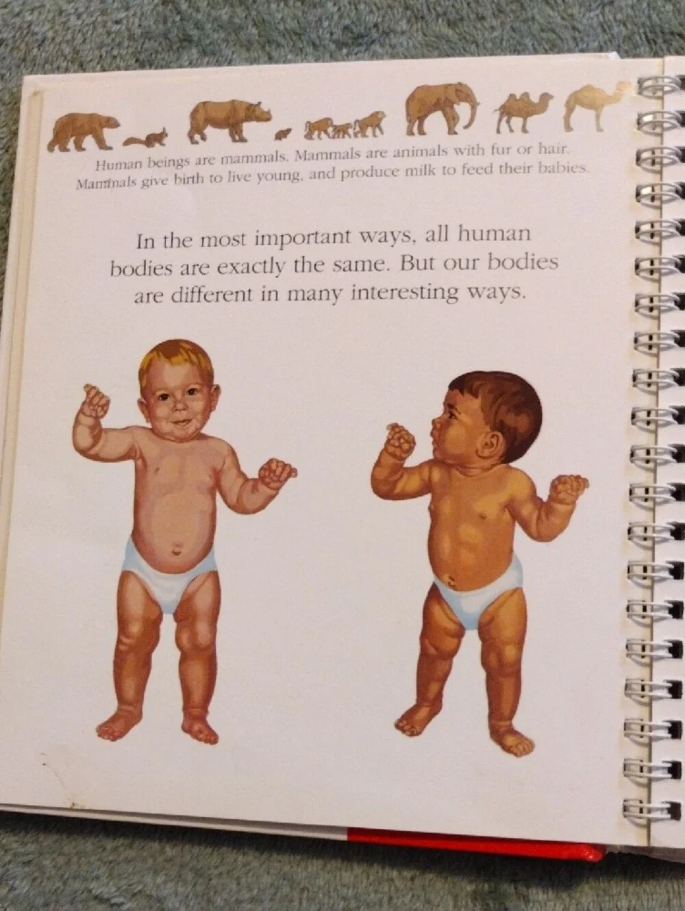 3/$15 - The Human Body